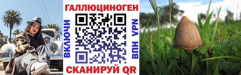 Псилоцибиновые грибы Cubensis  магазин продажи   Межгорье 